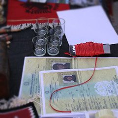 atdheu turist, 2008